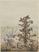 Thistle in front of a Winter Landscape Thumbnail